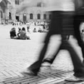 piazza del campo movimento